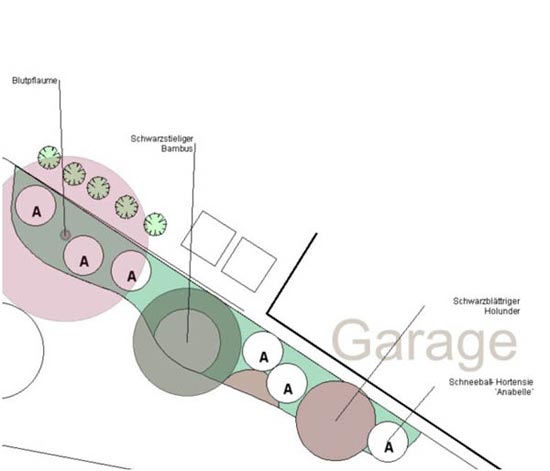 Pflanzplan CAD